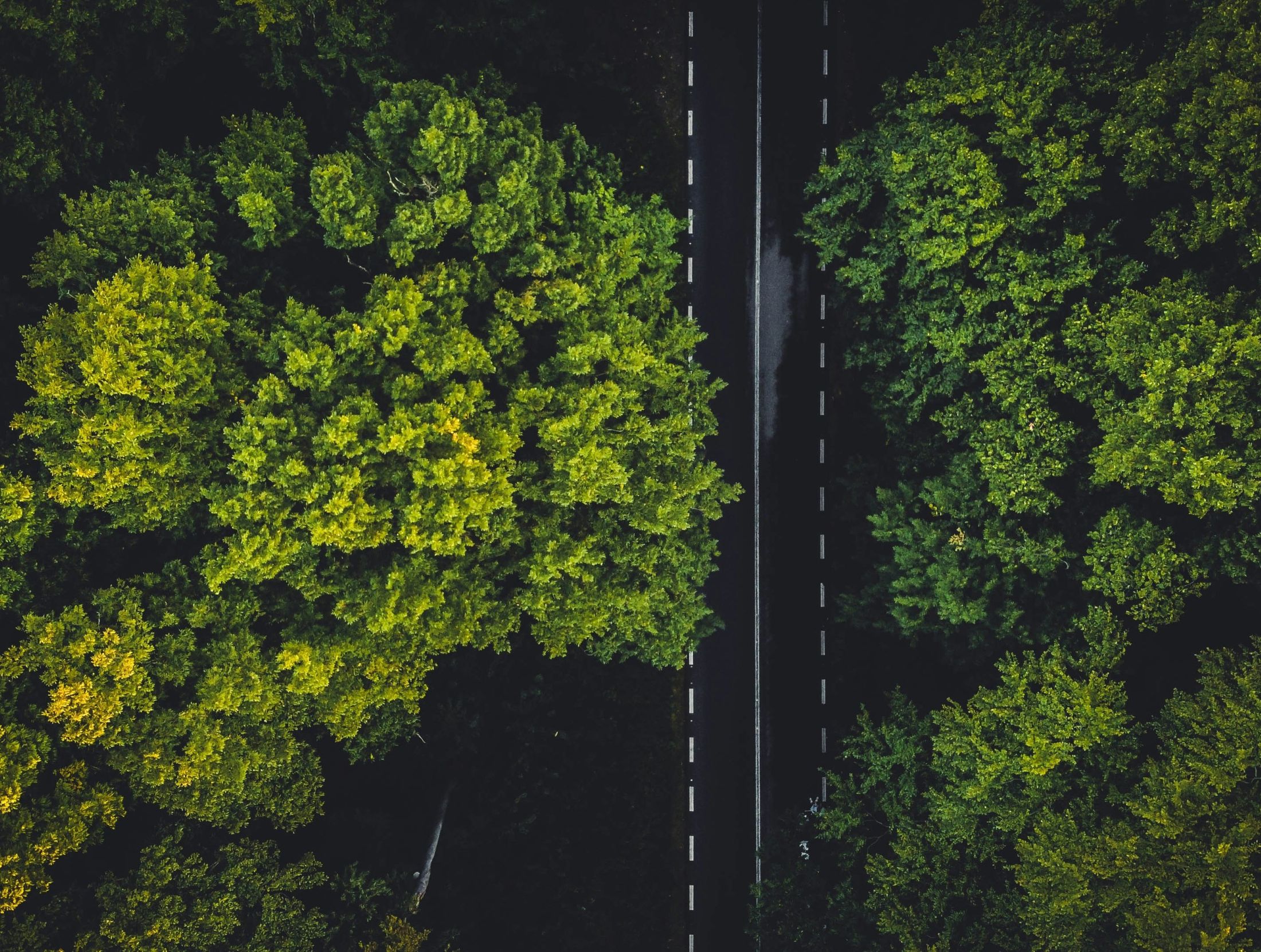 UK forms AI Energy Council to align growth and sustainability goals